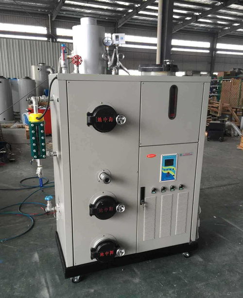 【全自動(dòng)蒸汽鍋爐】- 