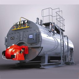 關(guān)于鍋爐改造方案中對(duì)燃燒機(jī)的選擇和建議